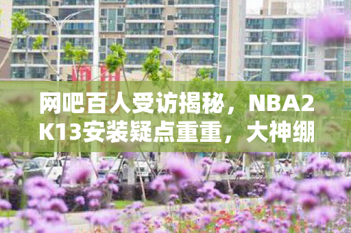 网吧百人受访揭秘，NBA2K13安装疑点重重，大神绷不住泪洒当场