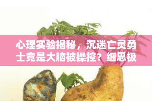 心理实验揭秘，沉迷亡灵勇士竟是大脑被操控？细思极恐！