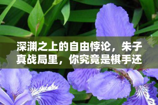 深渊之上的自由悖论,朱子真战局里,你究竟是棋手还是棋子? 深渊之上的自由悖论,朱子真战局里,你究竟是棋手还是棋子?