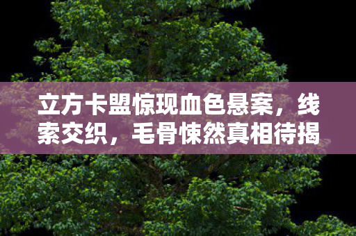 立方卡盟惊现血色悬案，线索交织，毛骨悚然真相待揭！