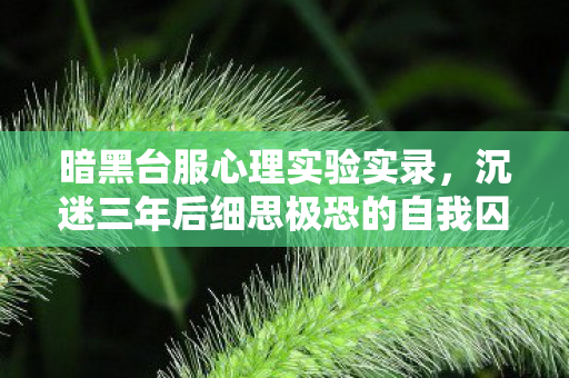 暗黑台服心理实验实录,沉迷三年后细思极恐的自我囚禁 暗黑台服心理实验实录,沉迷三年后细思极恐的自我囚禁