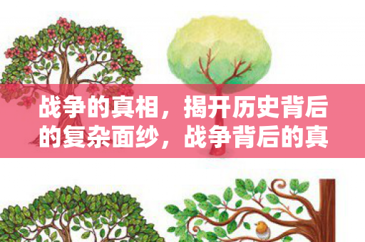 战争的真相,揭开历史背后的复杂面纱,战争背后的真相,揭开历史复杂面纱 战争的真相,揭开历史背后的复杂面纱,战争背后的真相,揭开历史复杂面纱