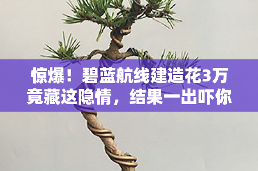 惊爆！碧蓝航线建造花3万竟藏这隐情，结果一出吓你一跳！