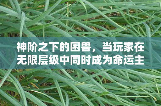 神阶之下的困兽，当玩家在无限层级中同时成为命运主宰与提线木偶