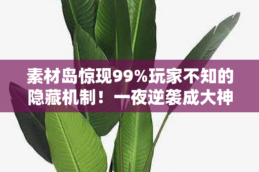 素材岛惊现99%玩家不知的隐藏机制！一夜逆袭成大神的秘密竟在此