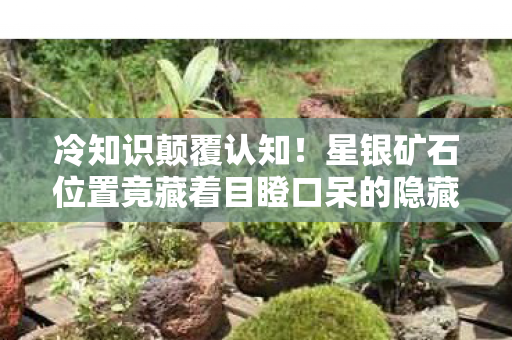 冷知识颠覆认知！星银矿石位置竟藏着目瞪口呆的隐藏秘密