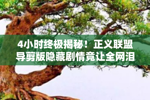 4小时终极揭秘!正义联盟导剪版隐藏剧情竟让全网泪崩? 4小时终极揭秘!正义联盟导剪版隐藏剧情竟让全网泪崩?