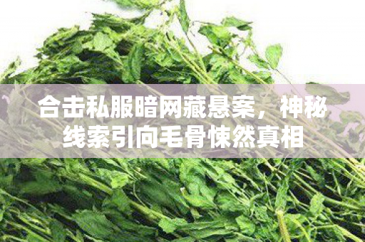合击私服暗网藏悬案，神秘线索引向毛骨悚然真相