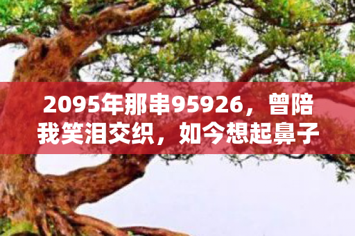 2095年那串95926,曾陪我笑泪交织,如今想起鼻子一酸 2095年那串95926,曾陪我笑泪交织,如今想起鼻子一酸