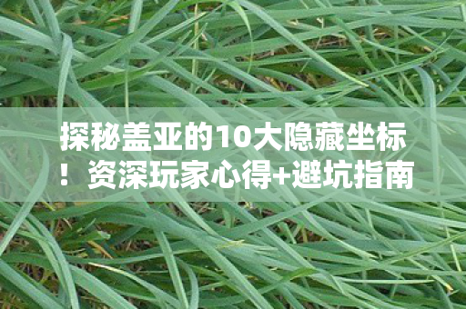 探秘盖亚的10大隐藏坐标!资深玩家心得+避坑指南大公开 探秘盖亚的10大隐藏坐标!资深玩家心得+避坑指南大公开