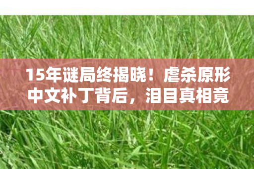 15年谜局终揭晓！虐杀原形中文补丁背后，泪目真相竟藏尸山血海