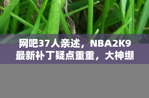 网吧37人亲述,NBA2K9最新补丁疑点重重,大神绷不住当场泪崩! 网吧37人亲述,NBA2K9最新补丁疑点重重,大神绷不住当场泪崩!