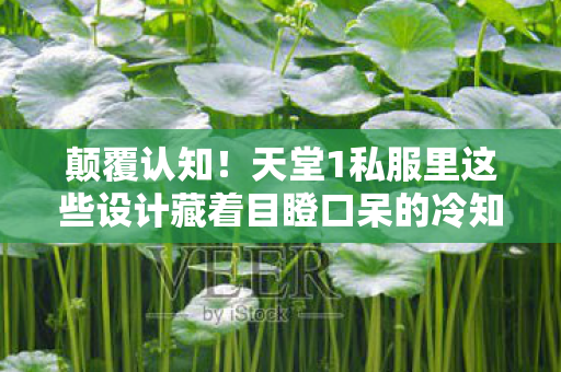 颠覆认知！天堂1私服里这些设计藏着目瞪口呆的冷知识