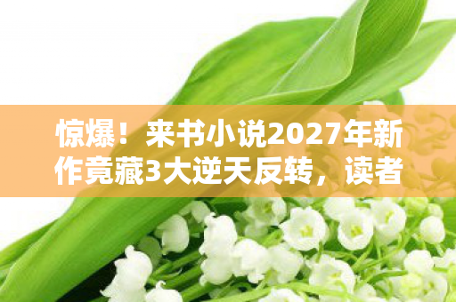 惊爆！来书小说2027年新作竟藏3大逆天反转，读者集体破防！