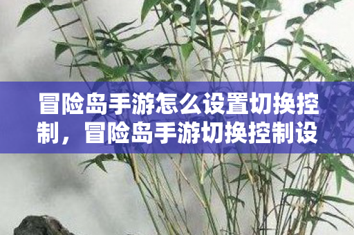 冒险岛手游怎么设置切换控制,冒险岛手游切换控制设置指南 冒险岛手游怎么设置切换控制,冒险岛手游切换控制设置指南