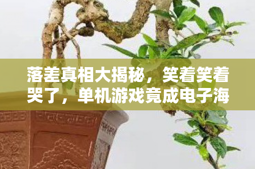 落差真相大揭秘，笑着笑着哭了，单机游戏竟成电子海洛因？