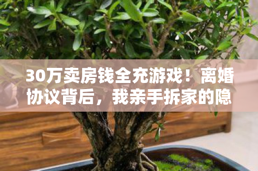 30万卖房钱全充游戏!离婚协议背后,我亲手拆家的隐情吓你一跳! 30万卖房钱全充游戏!离婚协议背后,我亲手拆家的隐情吓你一跳!