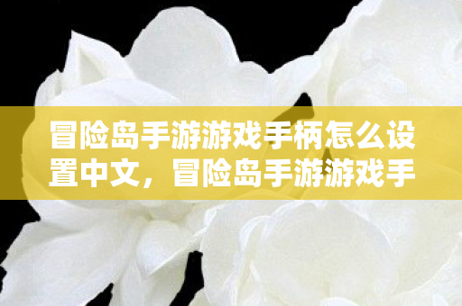 冒险岛手游游戏手柄怎么设置中文,冒险岛手游游戏手柄中文设置指南 冒险岛手游游戏手柄怎么设置中文,冒险岛手游游戏手柄中文设置指南