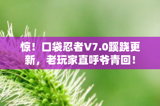 惊!口袋忍者V7.0蹊跷更新,老玩家直呼爷青回! 惊!口袋忍者V7.0蹊跷更新,老玩家直呼爷青回!