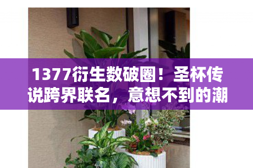 1377衍生数破圈!圣杯传说跨界联名,意想不到的潮流风暴来袭 1377衍生数破圈!圣杯传说跨界联名,意想不到的潮流风暴来袭