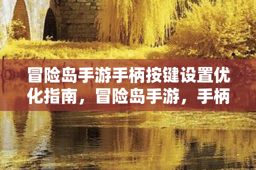 冒险岛手游手柄按键设置优化指南,冒险岛手游,手柄按键设置优化全攻略 冒险岛手游手柄按键设置优化指南,冒险岛手游,手柄按键设置优化全攻略