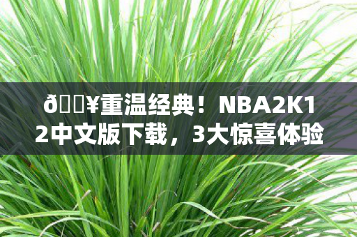 🔥重温经典！NBA2K12中文版下载，3大惊喜体验让我直呼过瘾！