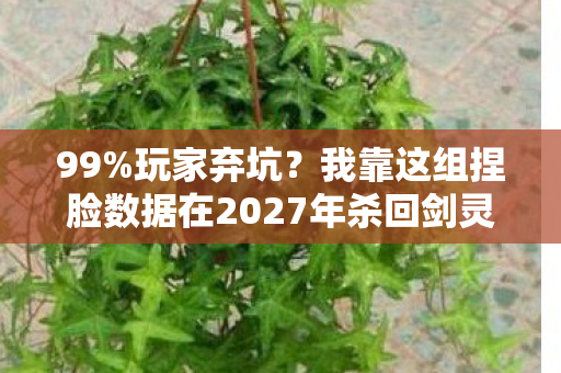99%玩家弃坑？我靠这组捏脸数据在2027年杀回剑灵巅峰！