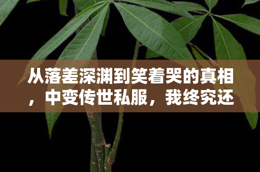 从落差深渊到笑着哭的真相，中变传世私服，我终究还是回来了