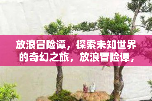 放浪冒险谭,探索未知世界的奇幻之旅,放浪冒险谭,探索未知世界的奇幻之旅 放浪冒险谭,探索未知世界的奇幻之旅,放浪冒险谭,探索未知世界的奇幻之旅