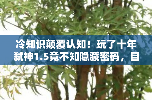 冷知识颠覆认知!玩了十年弑神1.5竟不知隐藏密码,目瞪口呆! 冷知识颠覆认知!玩了十年弑神1.5竟不知隐藏密码,目瞪口呆!