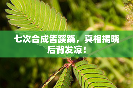 七次合成皆蹊跷，真相揭晓后背发凉！