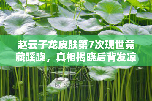 赵云子龙皮肤第7次现世竟藏蹊跷,真相揭晓后背发凉! 赵云子龙皮肤第7次现世竟藏蹊跷,真相揭晓后背发凉!