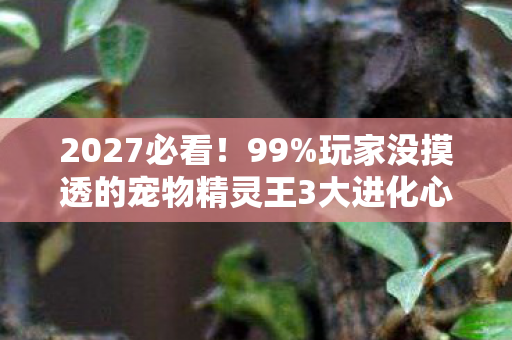 2027必看!99%玩家没摸透的宠物精灵王3大进化心得,错过血亏! 2027必看!99%玩家没摸透的宠物精灵王3大进化心得,错过血亏!