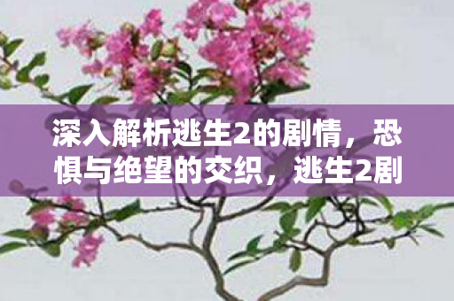 深入解析逃生2的剧情,恐惧与绝望的交织,逃生2剧情解析,恐惧与绝望的交织 深入解析逃生2的剧情,恐惧与绝望的交织,逃生2剧情解析,恐惧与绝望的交织