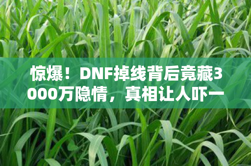 惊爆!DNF掉线背后竟藏3000万隐情,真相让人吓一跳! 惊爆!DNF掉线背后竟藏3000万隐情,真相让人吓一跳!
