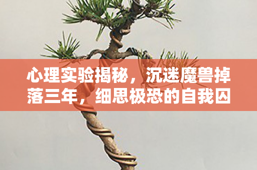 心理实验揭秘,沉迷魔兽掉落三年,细思极恐的自我囚禁 心理实验揭秘,沉迷魔兽掉落三年,细思极恐的自我囚禁