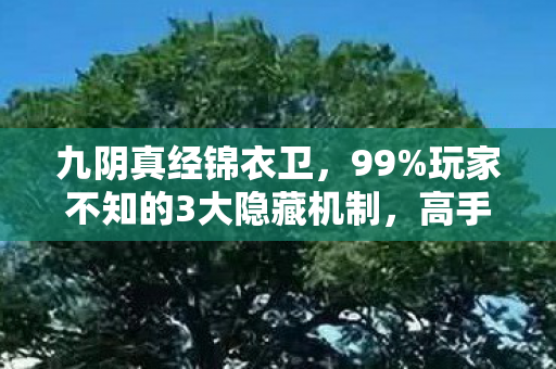 九阴真经锦衣卫,99%玩家不知的3大隐藏机制,高手竟靠它逆天改命! 九阴真经锦衣卫,99%玩家不知的3大隐藏机制,高手竟靠它逆天改命!