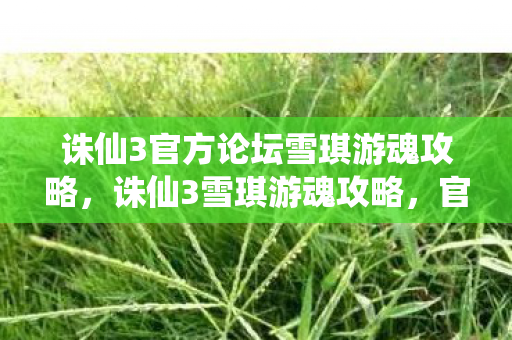 诛仙3官方论坛雪琪游魂攻略,诛仙3雪琪游魂攻略,官方论坛分享 诛仙3官方论坛雪琪游魂攻略,诛仙3雪琪游魂攻略,官方论坛分享