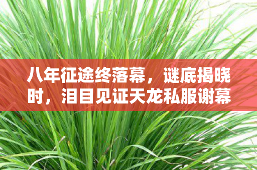 八年征途终落幕，谜底揭晓时，泪目见证天龙私服谢幕钟声