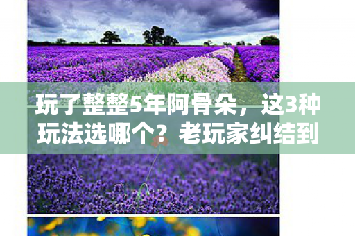 玩了整整5年阿骨朵,这3种玩法选哪个?老玩家纠结到失眠! 玩了整整5年阿骨朵,这3种玩法选哪个?老玩家纠结到失眠!
