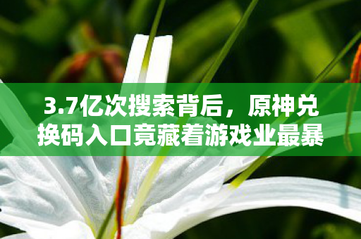 3.7亿次搜索背后,原神兑换码入口竟藏着游戏业最暴利的流量密码 3.7亿次搜索背后,原神兑换码入口竟藏着游戏业最暴利的流量密码