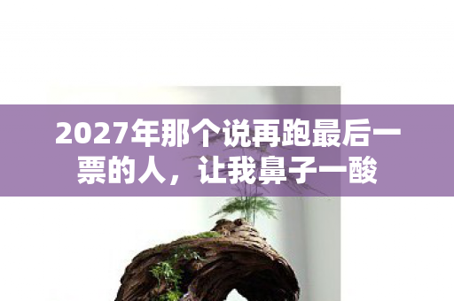 2027年那个说再跑最后一票的人，让我鼻子一酸