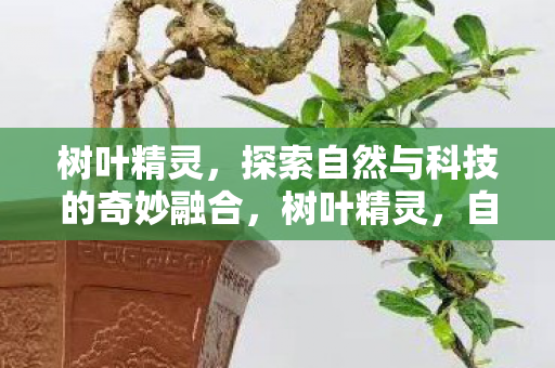 树叶精灵,探索自然与科技的奇妙融合,树叶精灵,自然与科技的奇妙融合之旅 树叶精灵,探索自然与科技的奇妙融合,树叶精灵,自然与科技的奇妙融合之旅