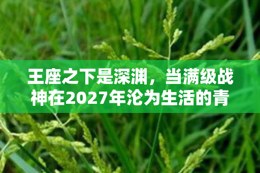 王座之下是深渊，当满级战神在2027年沦为生活的青铜