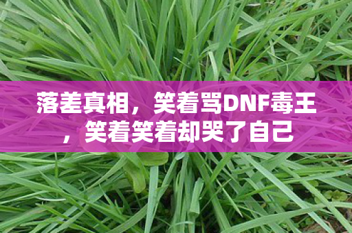 落差真相,笑着骂DNF毒王,笑着笑着却哭了自己 落差真相,笑着骂DNF毒王,笑着笑着却哭了自己
