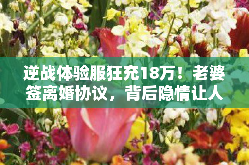 逆战体验服狂充18万!老婆签离婚协议,背后隐情让人吓一跳! 逆战体验服狂充18万!老婆签离婚协议,背后隐情让人吓一跳!