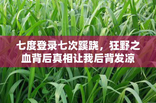 狂野之血背后真相让我后背发凉图片