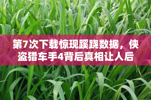 第7次下载惊现蹊跷数据，侠盗猎车手4背后真相让人后背发凉！