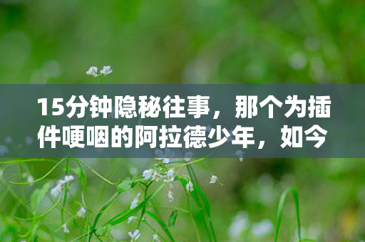 15分钟隐秘往事,那个为插件哽咽的阿拉德少年,如今还在吗? 15分钟隐秘往事,那个为插件哽咽的阿拉德少年,如今还在吗?