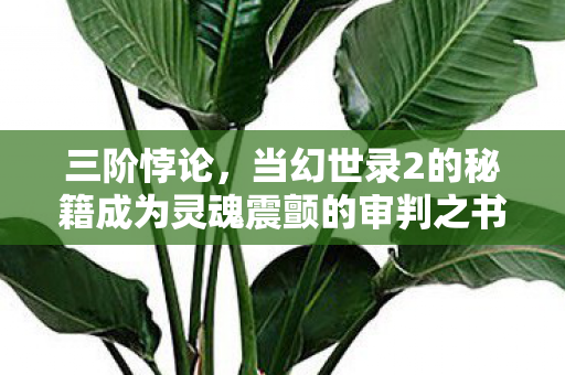 三阶悖论,当幻世录2的秘籍成为灵魂震颤的审判之书 三阶悖论,当幻世录2的秘籍成为灵魂震颤的审判之书